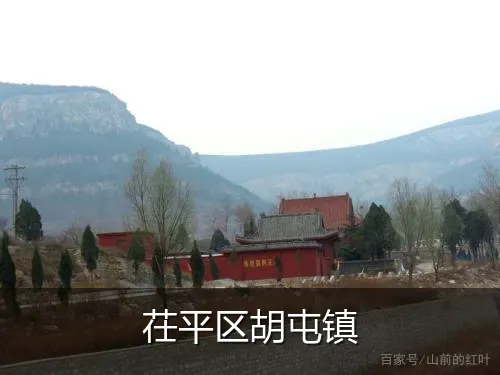 茌平区胡屯镇